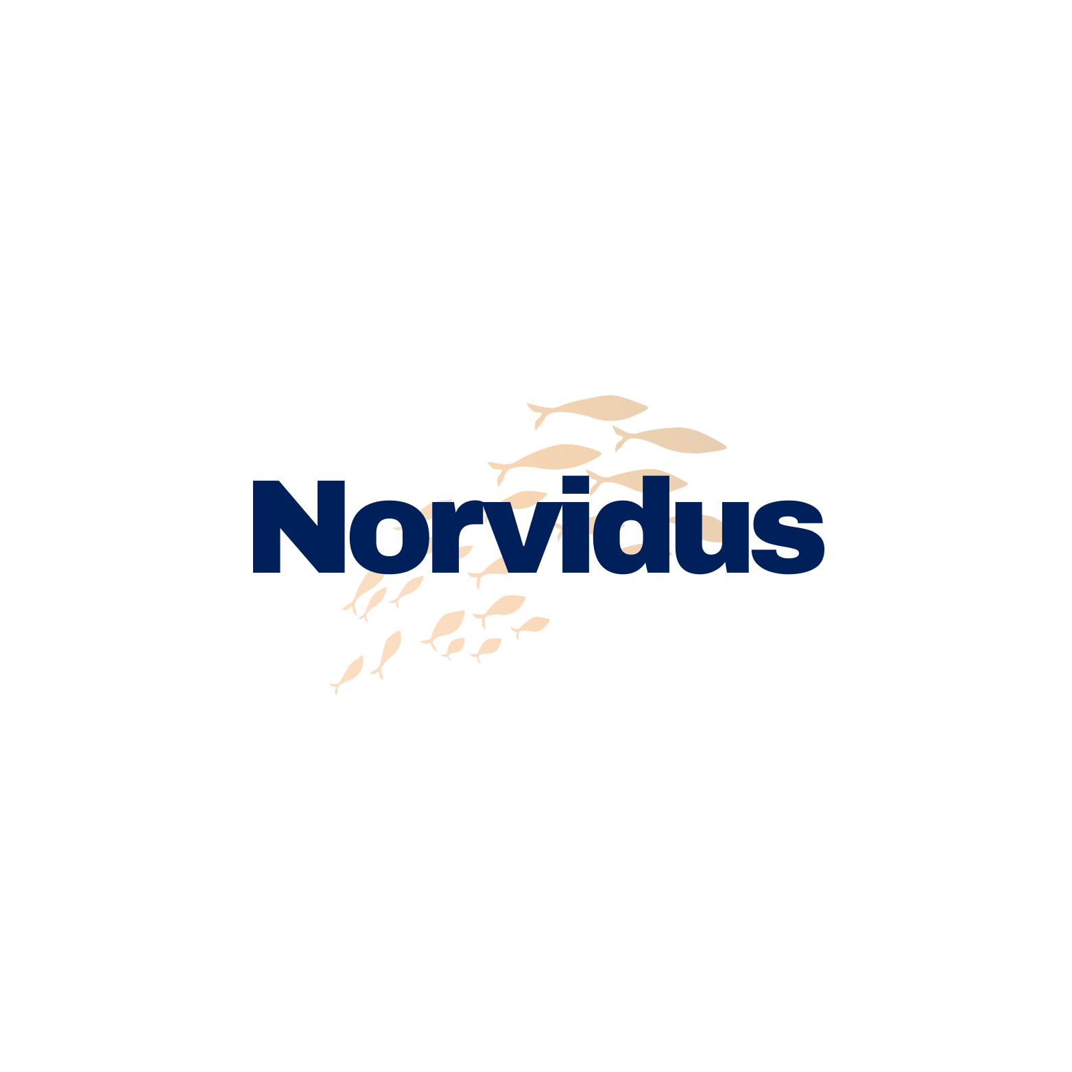 Norvidus Logo